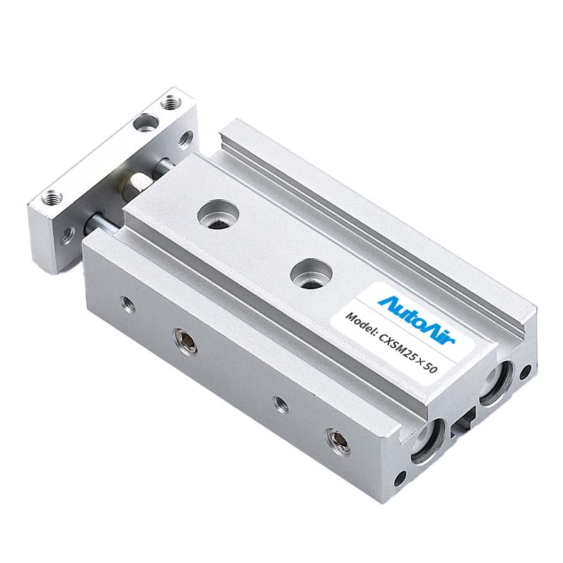CXS Series Dual Rod Pneumatic Double-Shaft Cylinders - China Twin Rod Guided Air Cylinders for Industrial Use