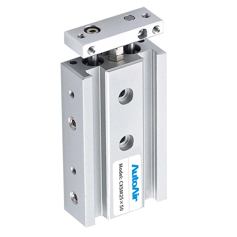 CXS Series Dual Rod Pneumatic Double-Shaft Cylinders - China Twin Rod Guided Air Cylinders for Industrial Use